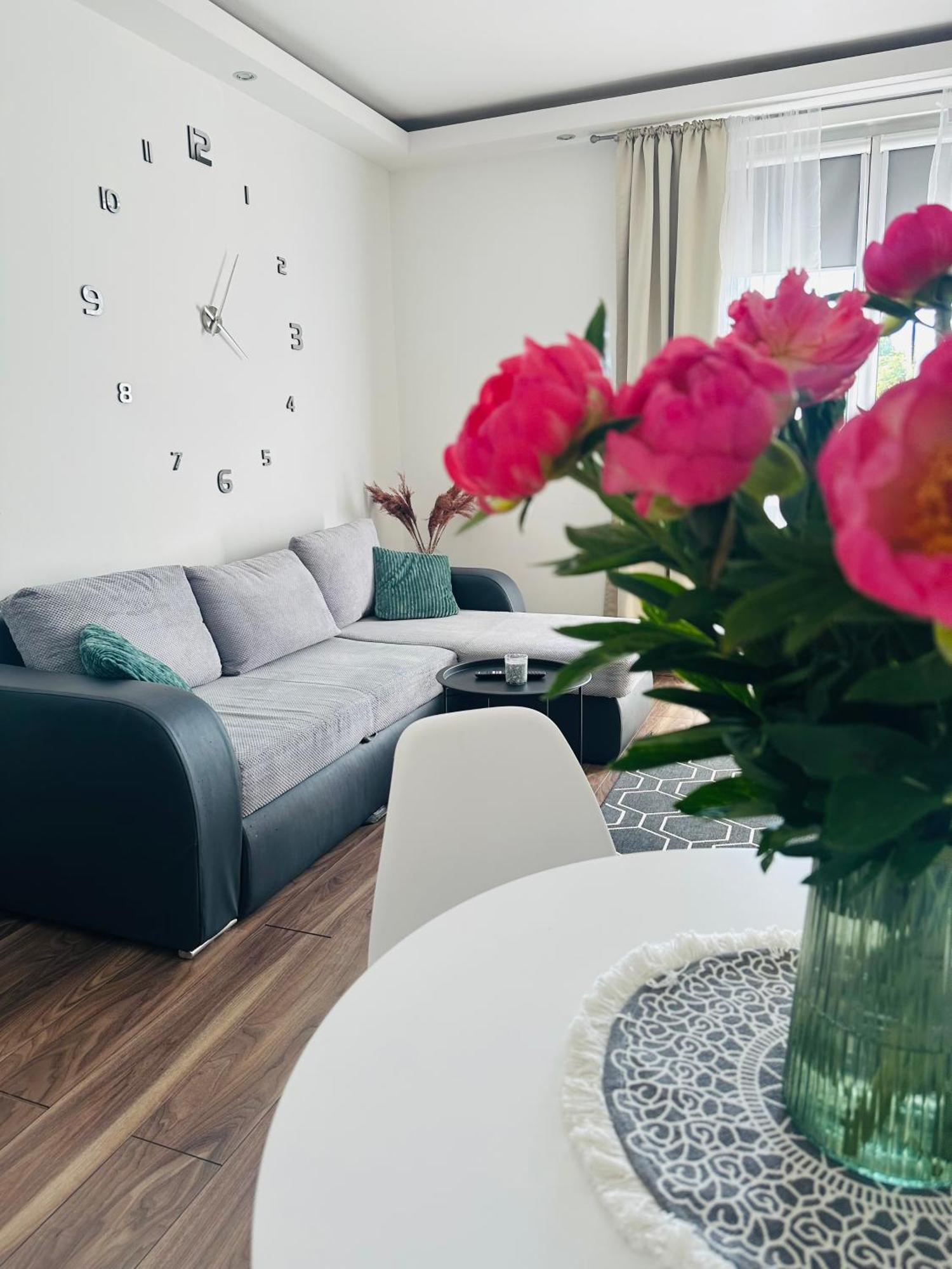 City Apartment Czestochowa Centrum 2-Bedroom Ngoại thất bức ảnh